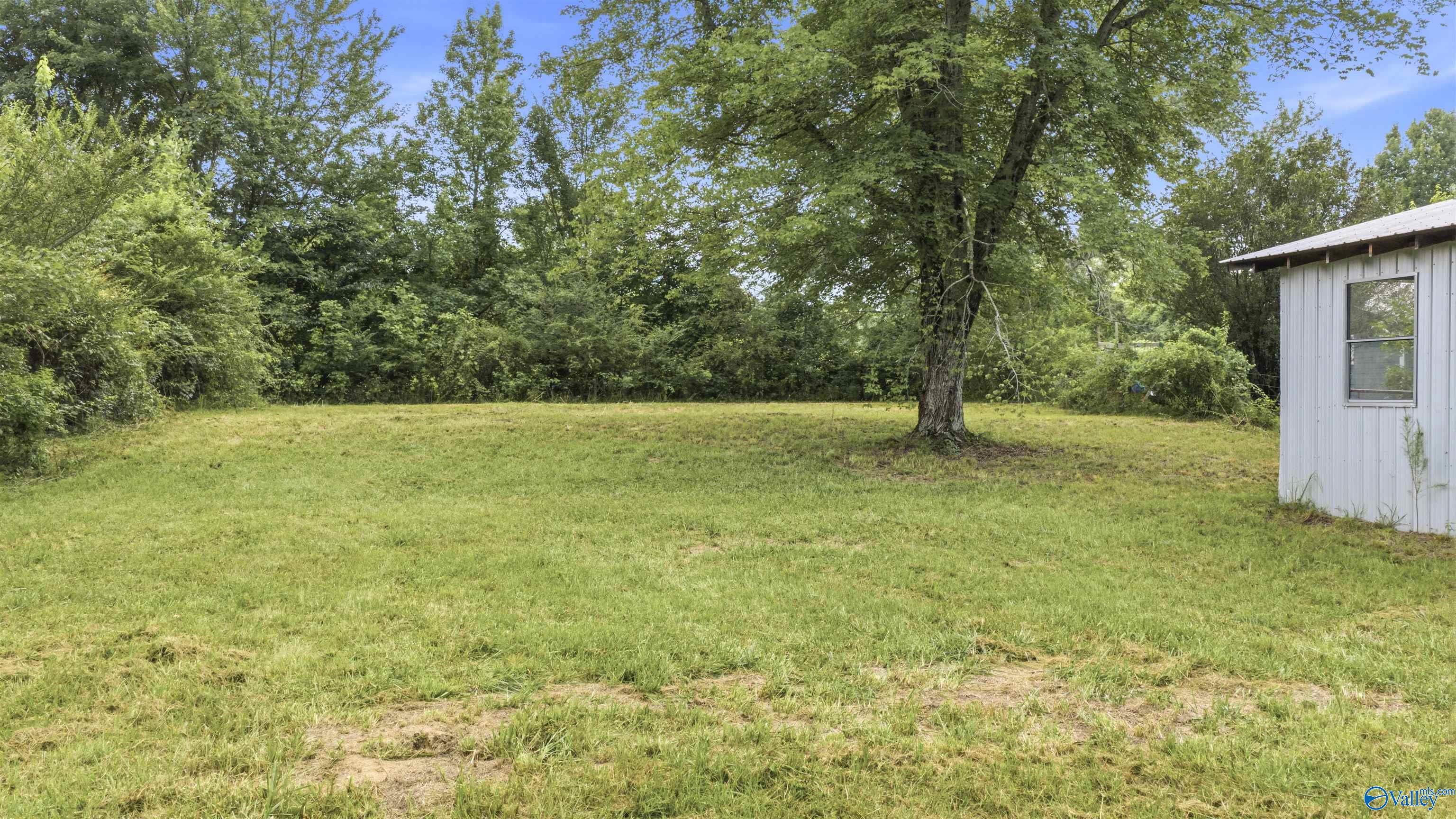 Grassy yard with a large shade tree, wooded boundary, and part of a light-colored outbuilding.