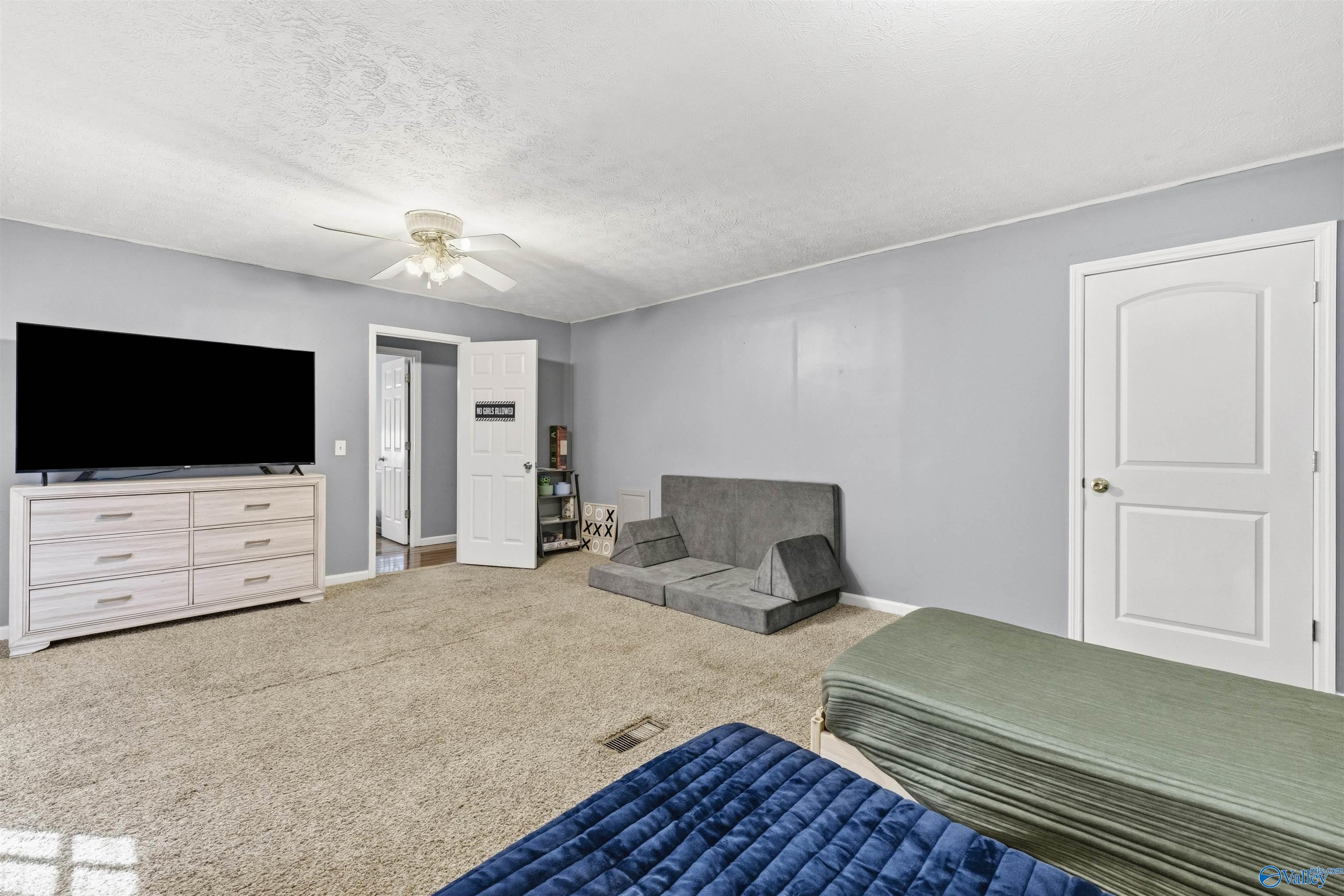 Bedroom with gray walls, beige carpet, a television, and a gray futon beside the bed.
