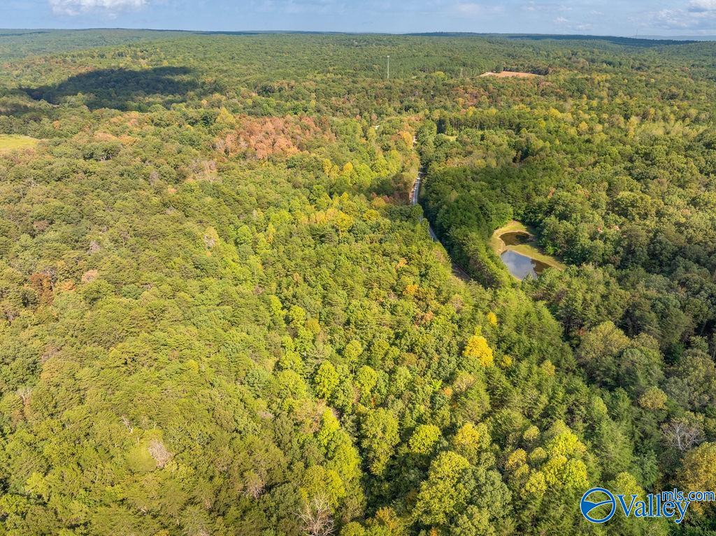 Aerial view of wooded land with a winding road and small pond.