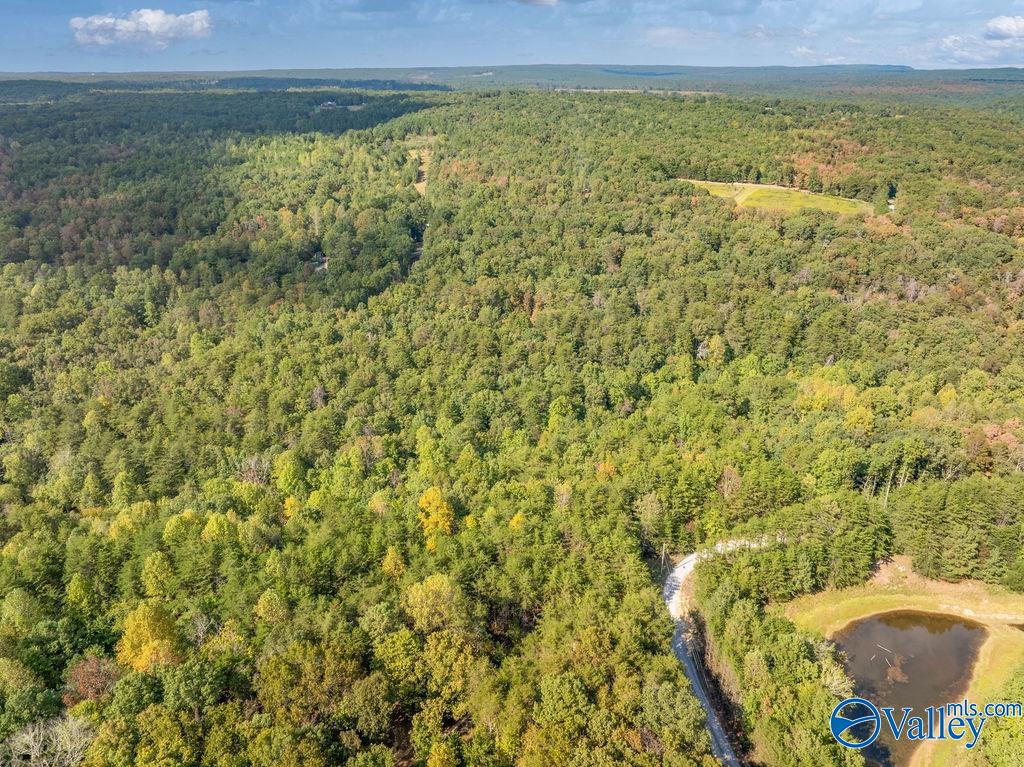 Aerial view of wooded land with an access road, a small pond, and distant ridges.