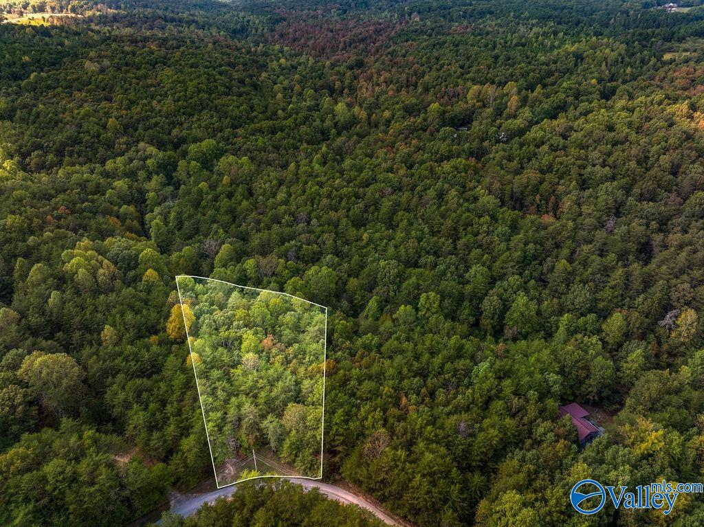 Aerial view of a wooded land tract outlined beside a rural road.