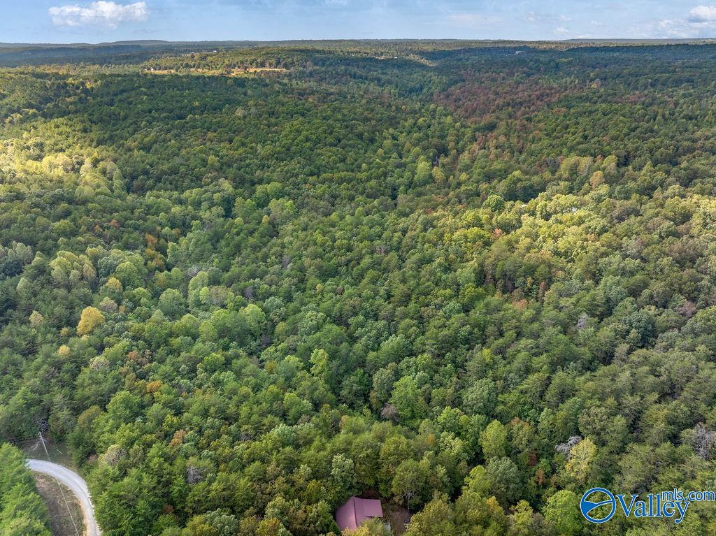 Aerial view of a heavily wooded tract with a curving road and distant forested hills.