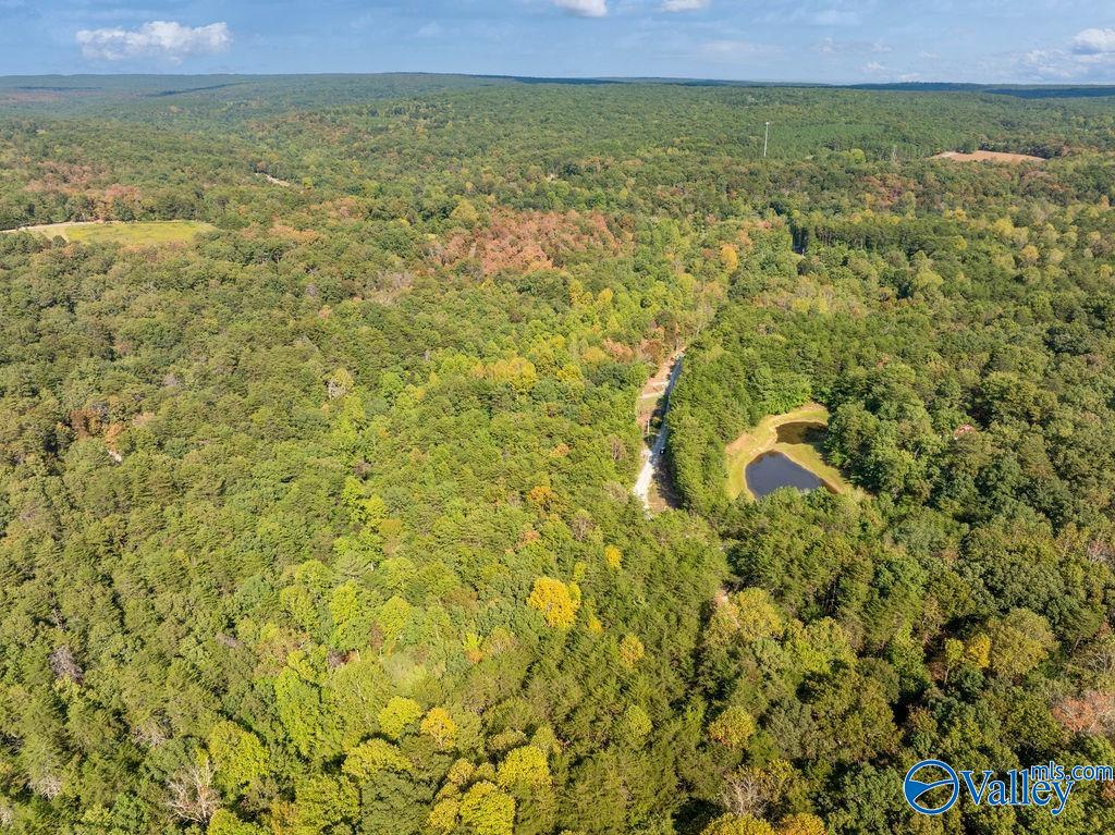 Aerial view of a wooded tract with a narrow road and small pond amid autumn-colored trees.