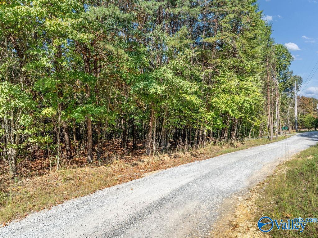 Wooded land borders a gravel road, with utility poles along the roadside.