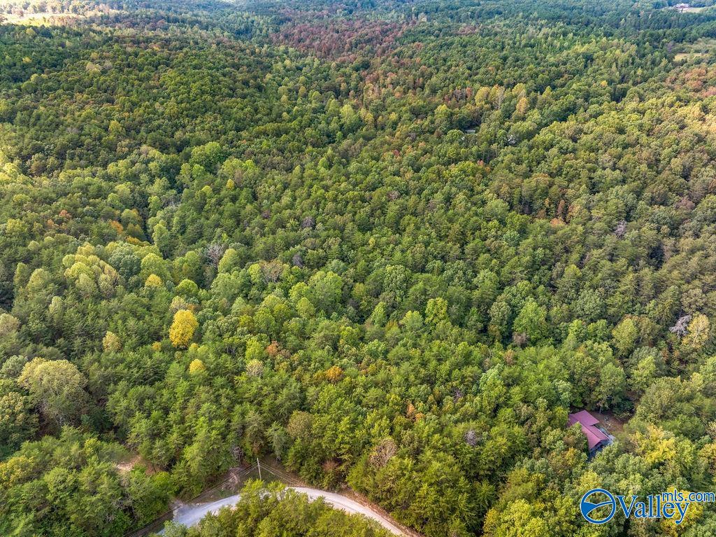 Aerial view of wooded land with a curving road and a small building among the trees.