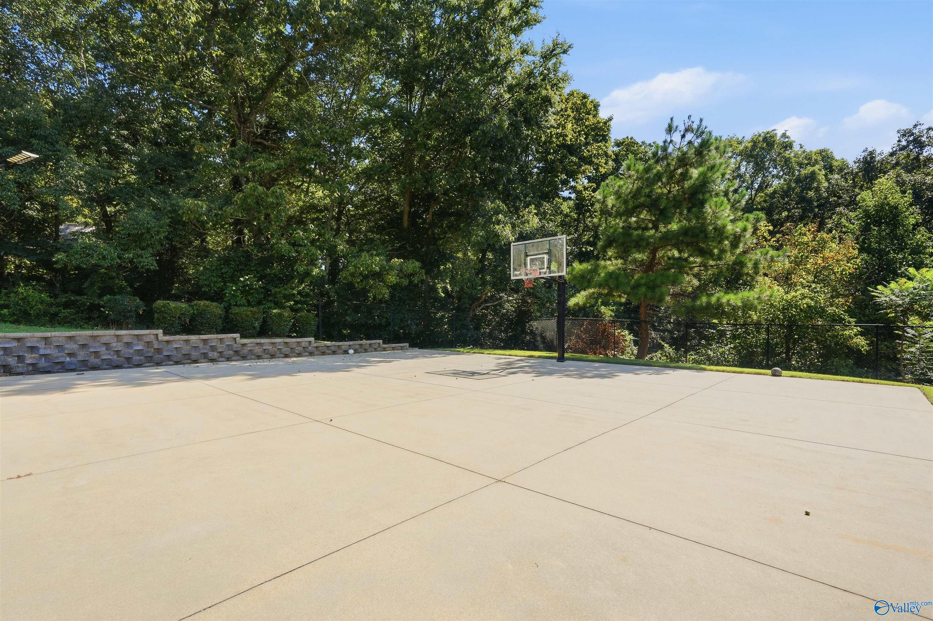 Outdoor concrete basketball court with a single hoop, surrounded by trees and fencing.