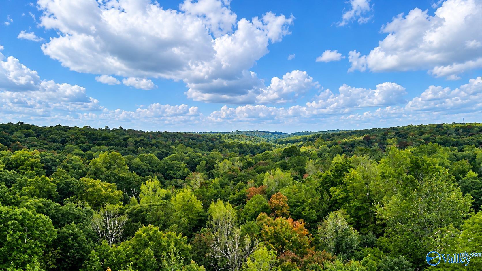 Aerial view across densely wooded rolling hills beneath a blue, cloud-filled sky.
