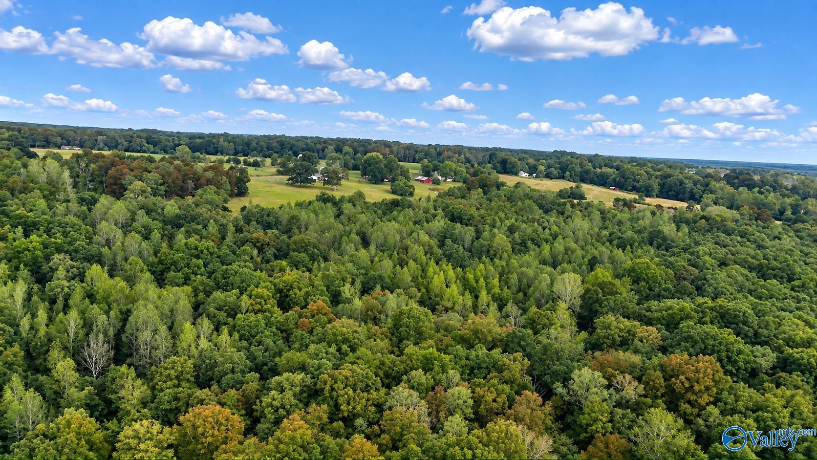 Aerial view of wooded acreage with open fields and scattered rural homes.