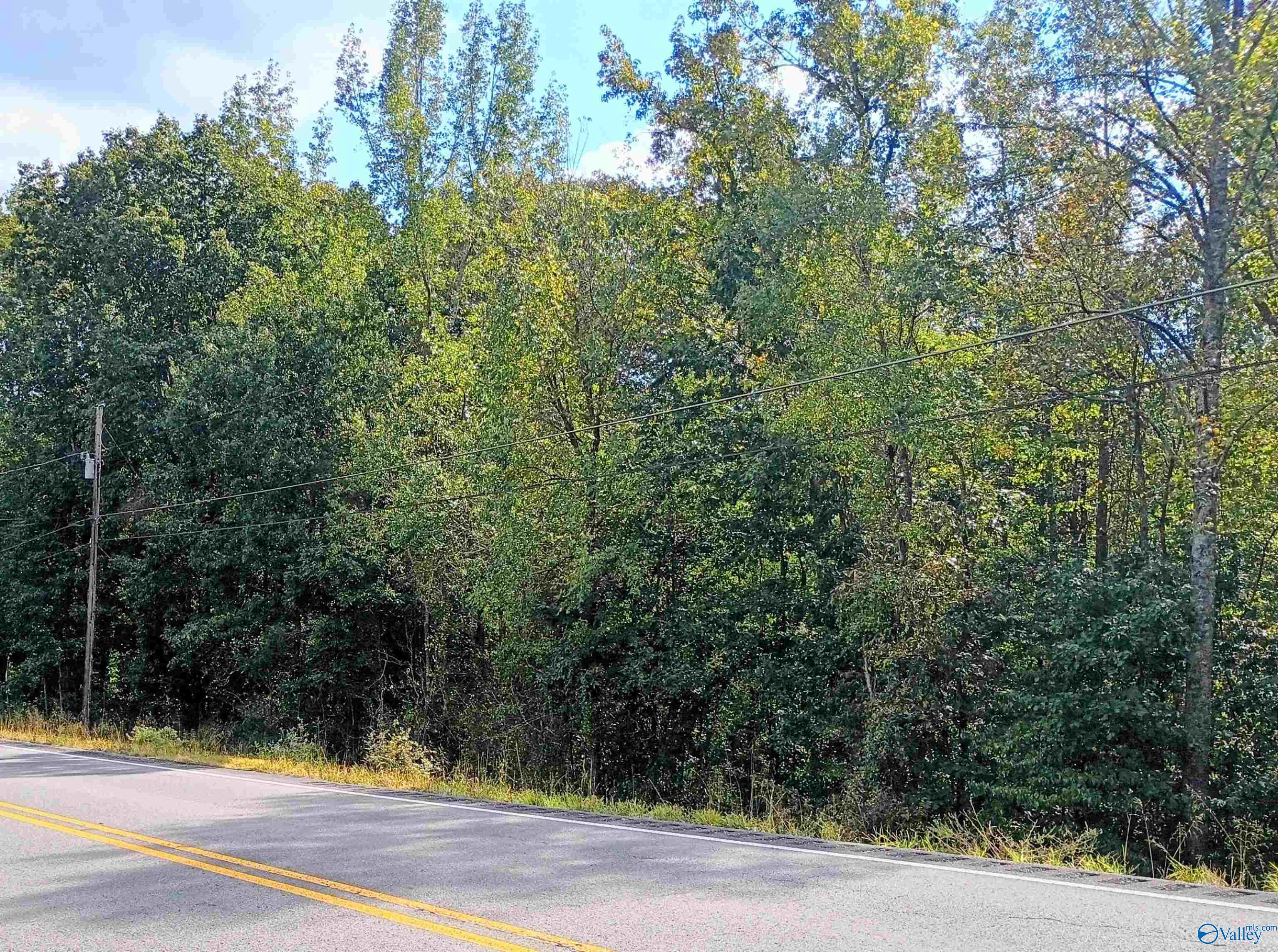 Wooded property frontage beside a two-lane road, with utility lines crossing the trees.