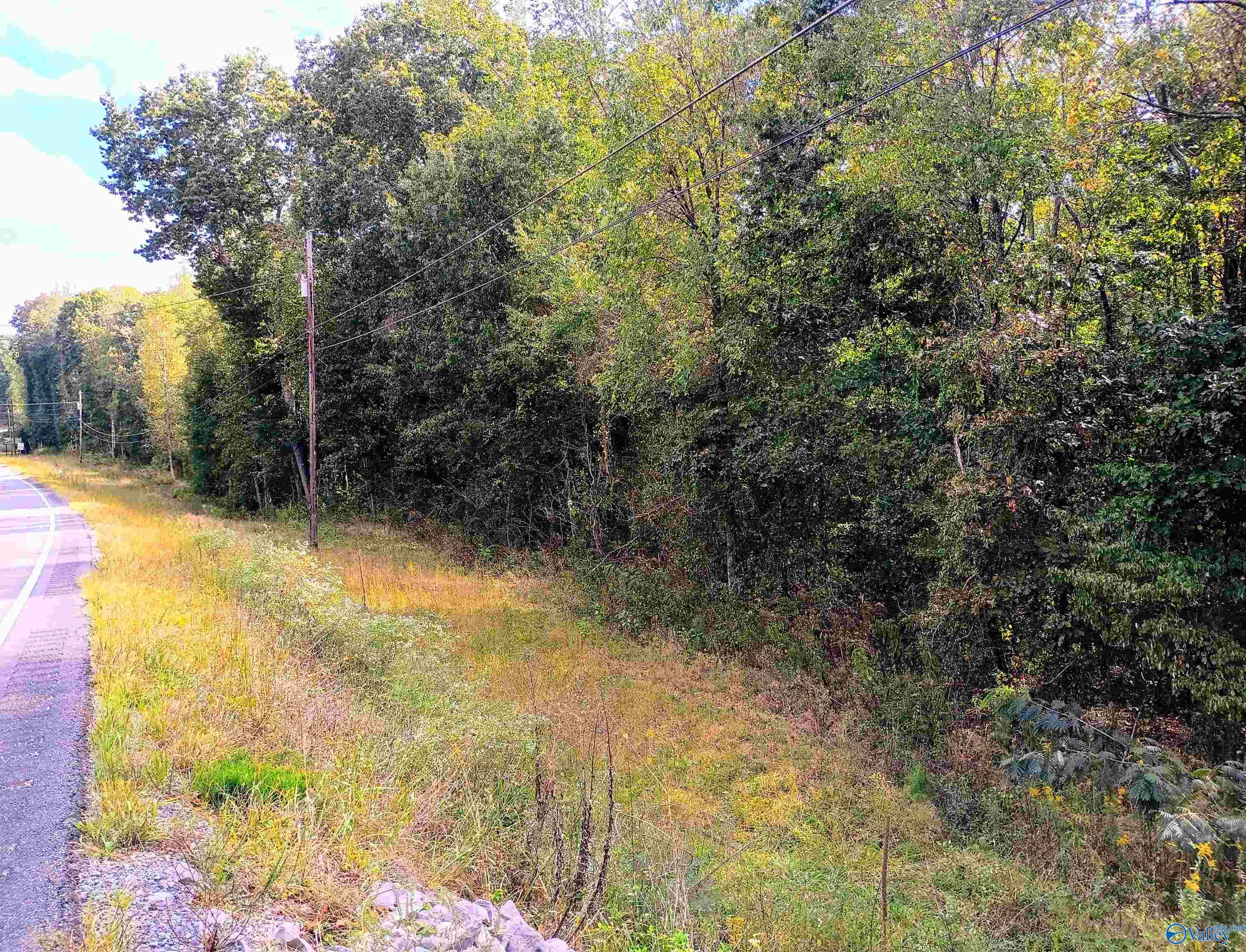 Wooded vacant land beside a road, with grassy frontage and overhead utility lines.