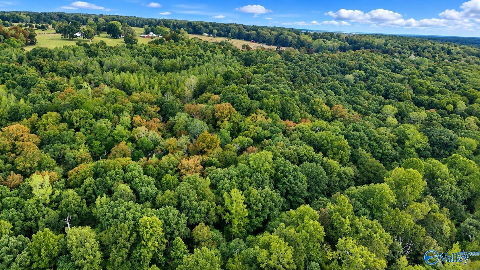 Aerial view of dense woodland, with open fields and a few buildings along the distant horizon.