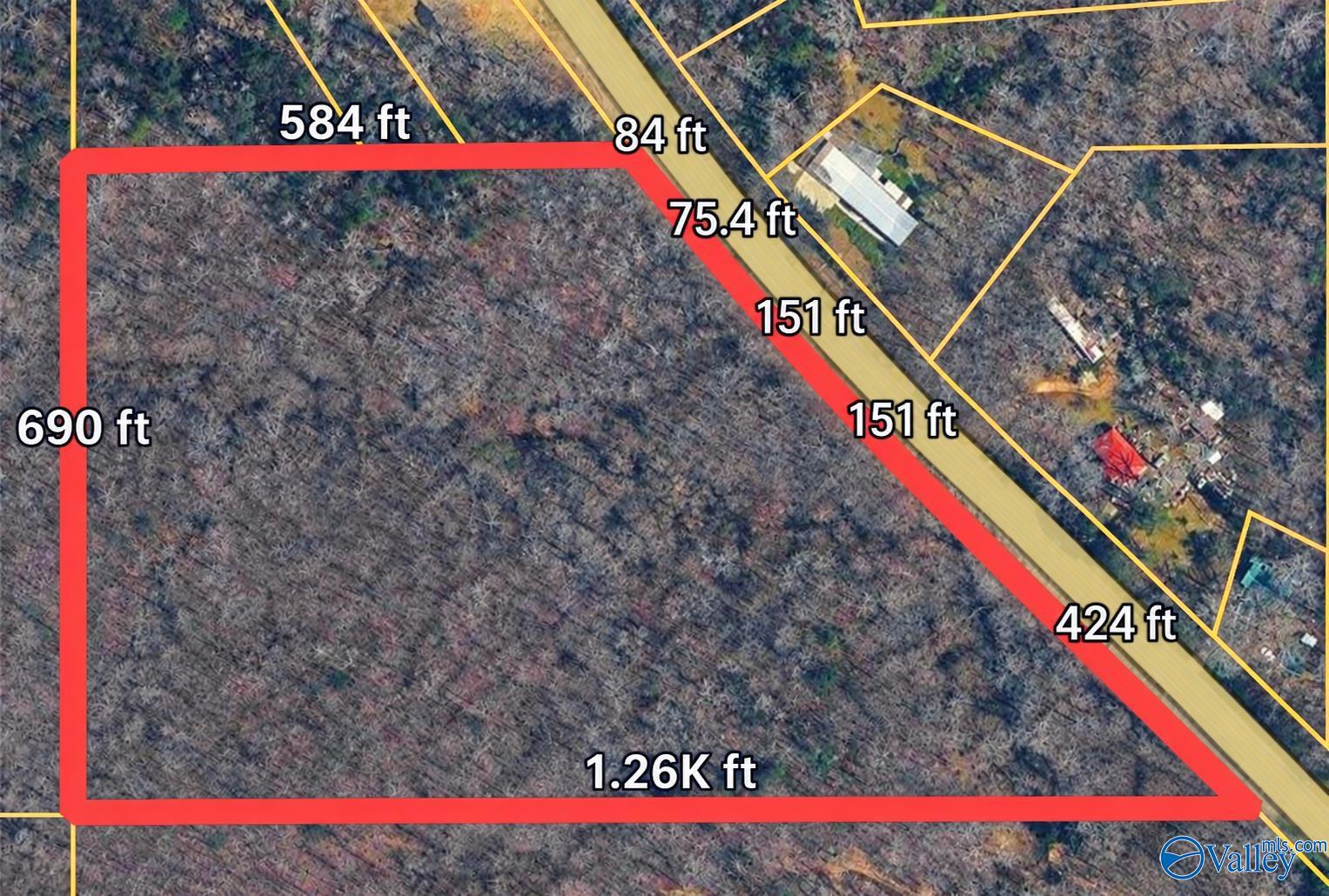 Aerial view of a wooded property outlined in red, with boundary measurements and a road along one side.