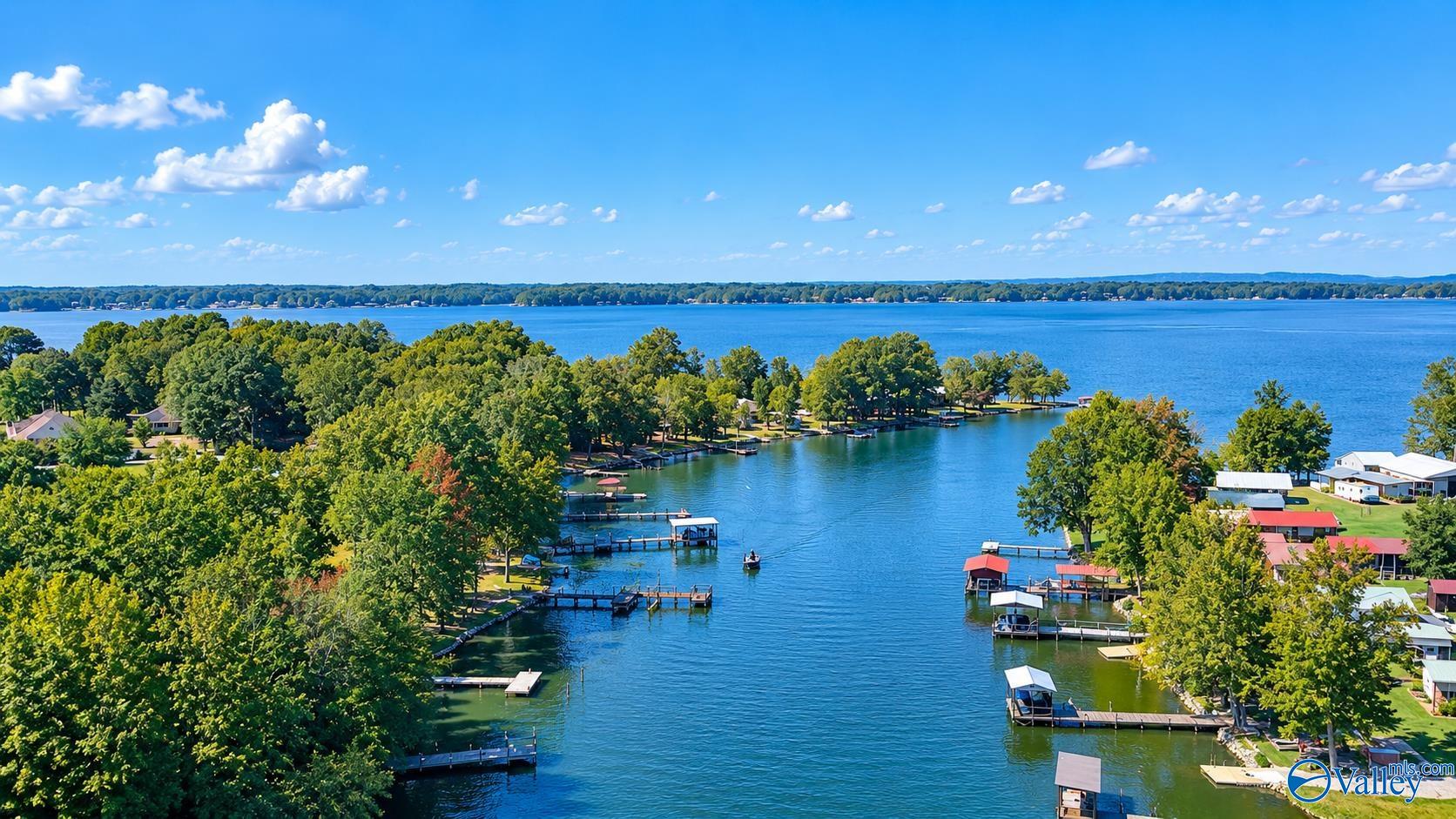 Aerial view of a wooded lakeside neighborhood with numerous docks along a broad blue lake.