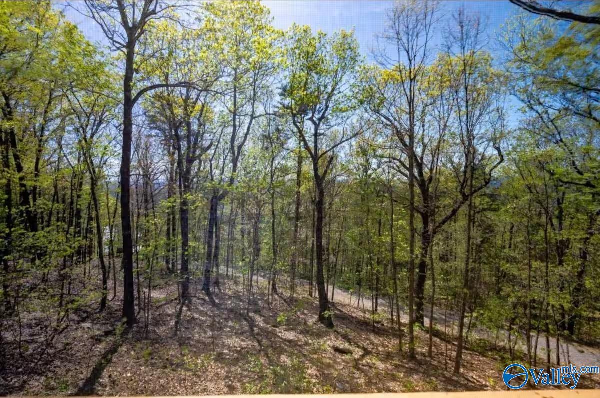 Wooded sloping lot with a narrow road visible through the trees.