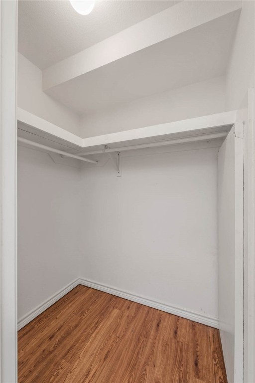 3914 Old College Road