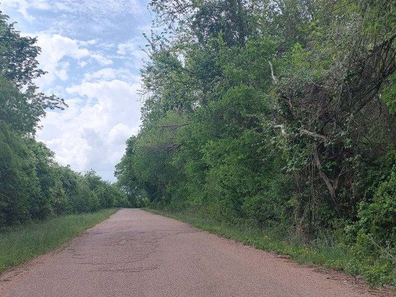 TBD CR 328 TRACT 8, 11 ACRES Road