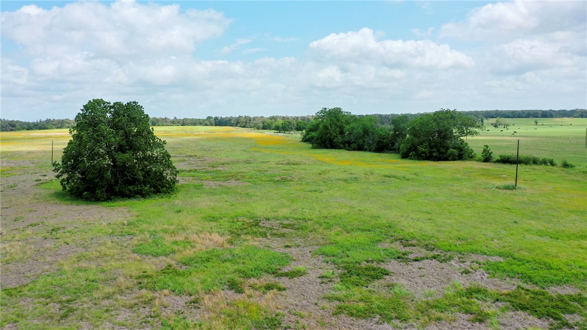 TBD CR 328 TRACT 8, 11 ACRES Road