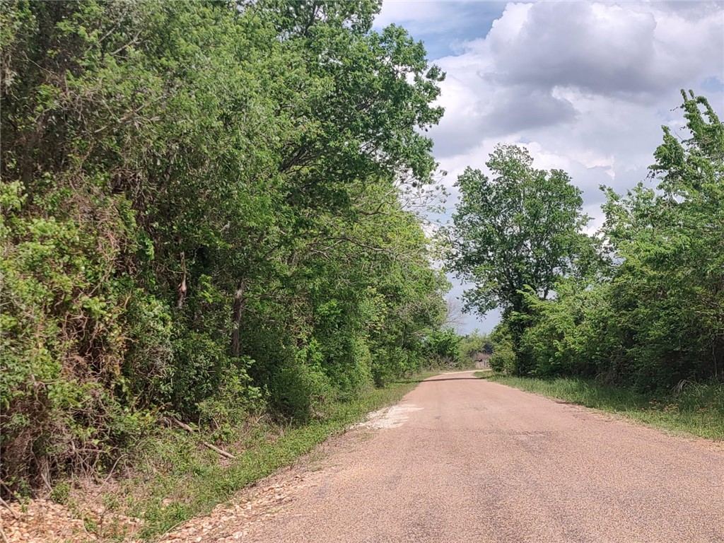 TBD CR 328 TRACT 8, 11 ACRES Road