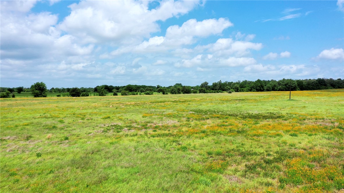 TBD CR 328 TRACT 8, 11 ACRES Road