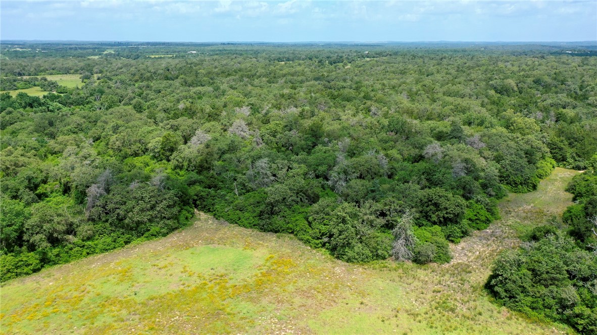 TBD CR 328 TRACT 8, 11 ACRES Road