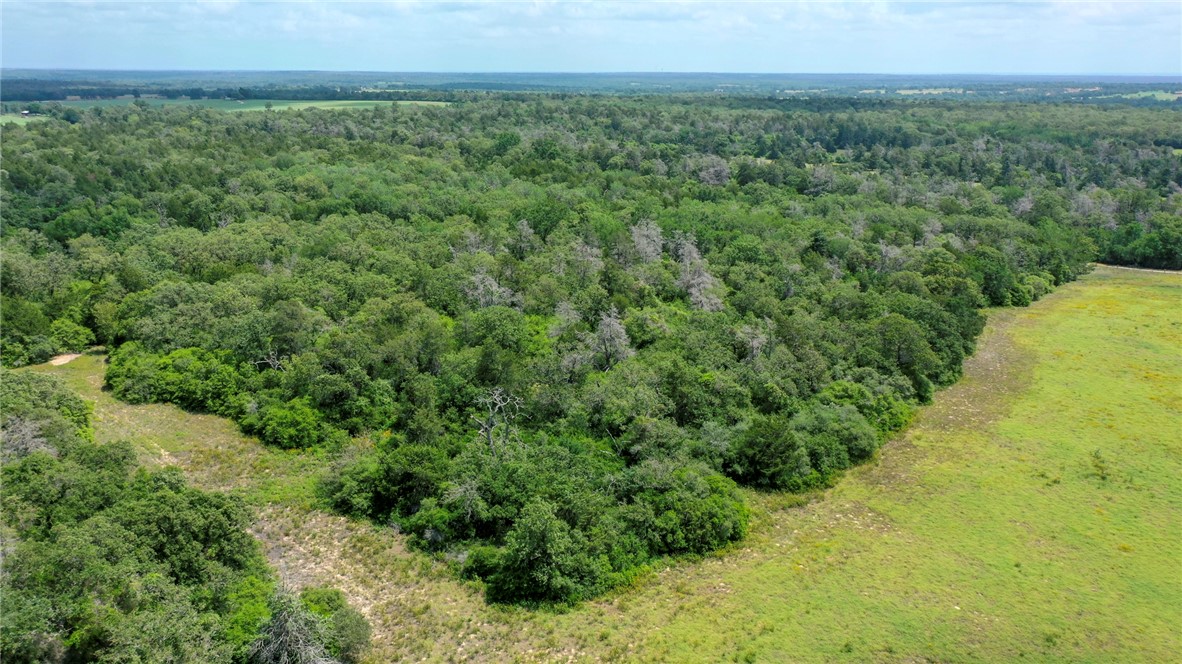 TBD CR 328 TRACT 8, 11 ACRES Road