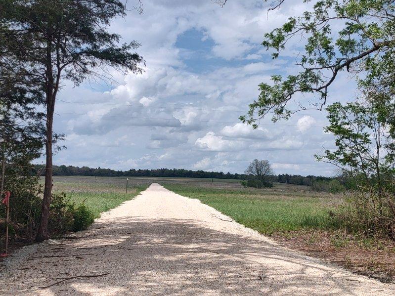 TBD CR 328 TRACT 8, 11 ACRES Road