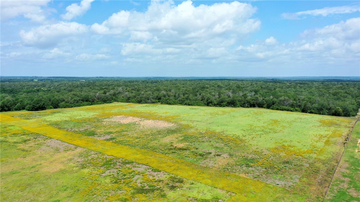 TBD CR 328 TRACT 8, 11 ACRES Road