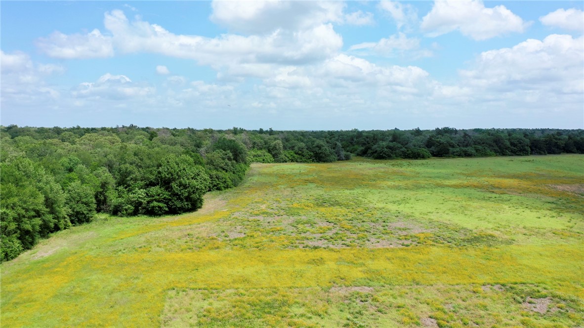 TBD CR 328 TRACT 8, 11 ACRES Road