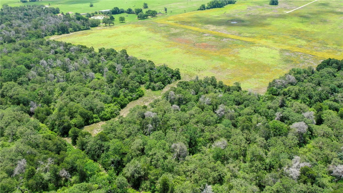 TBD CR 328 TRACT 8, 11 ACRES Road