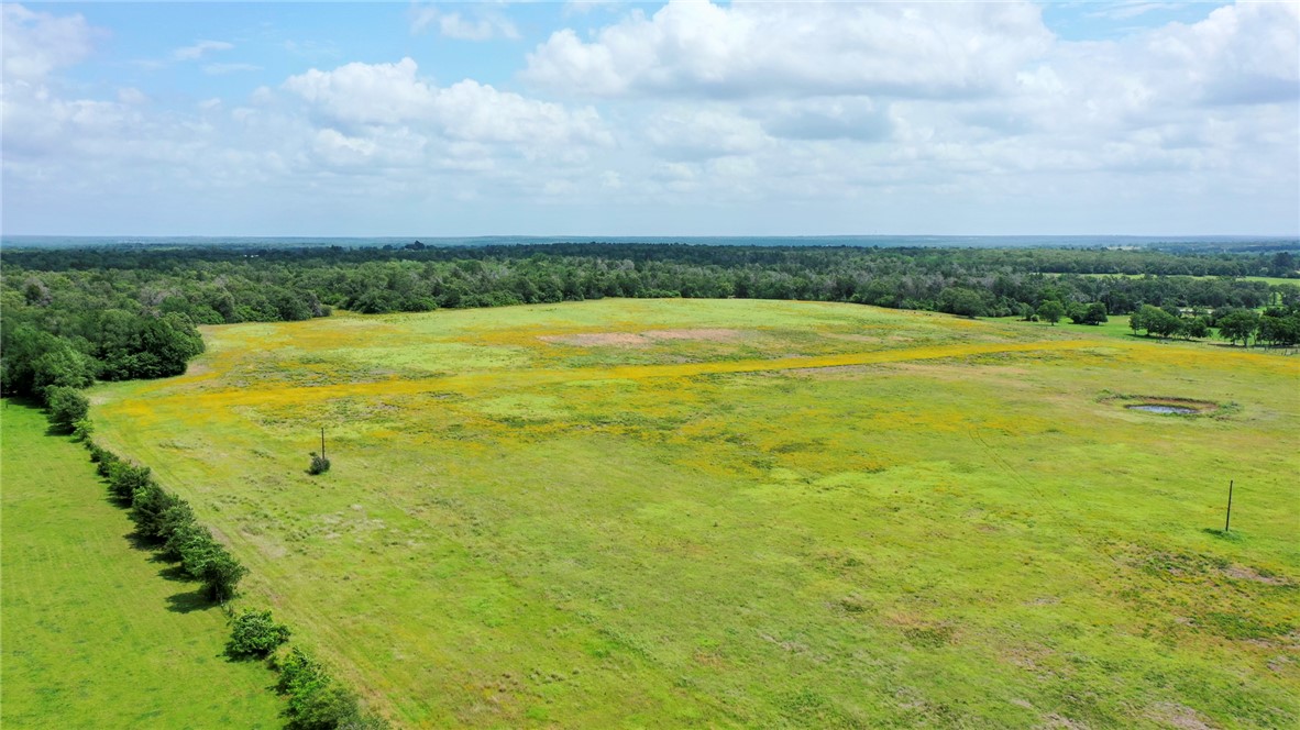 TBD CR 328 TRACT 8, 11 ACRES Road