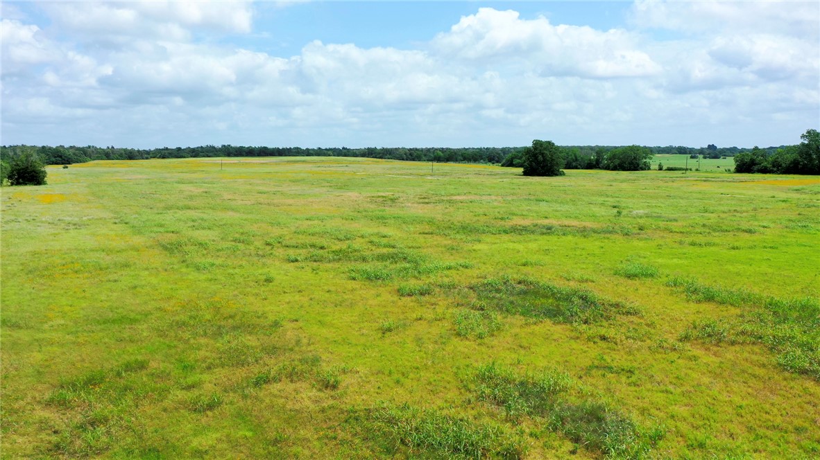TBD CR 328 TRACT 8, 11 ACRES Road