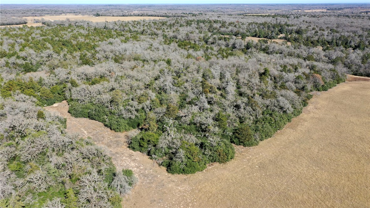 TBD CR 328, TRACT 7, 10 ACRES Road