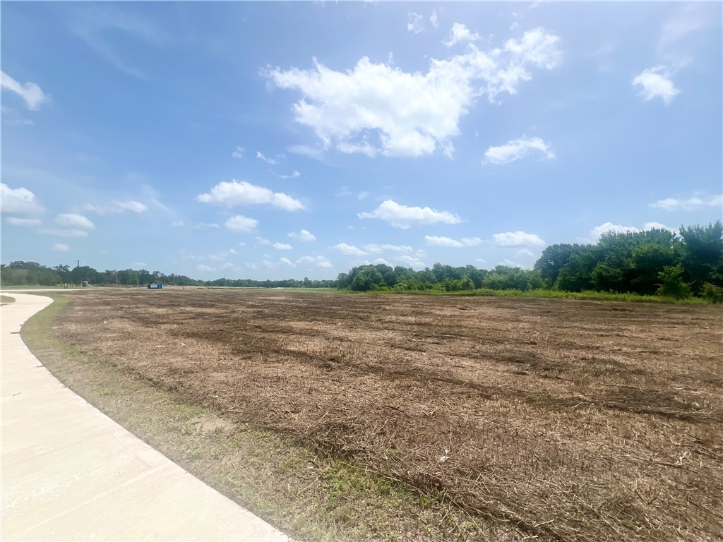 TBD Tammie Lynn Drive