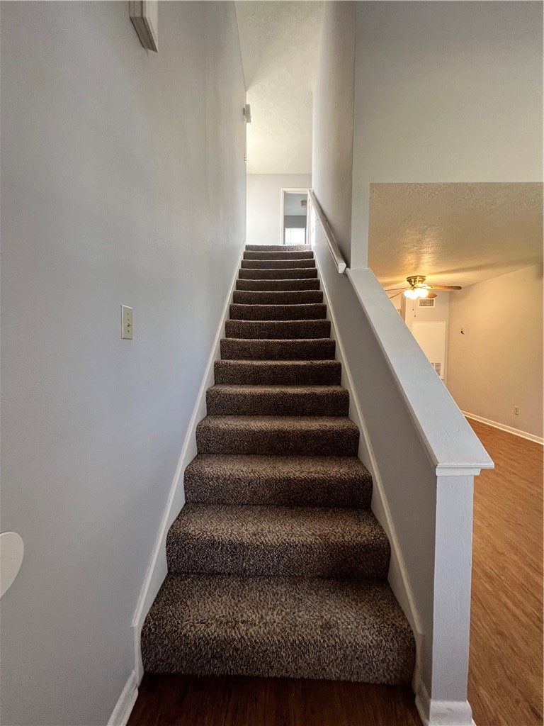 922 Spring Loop D