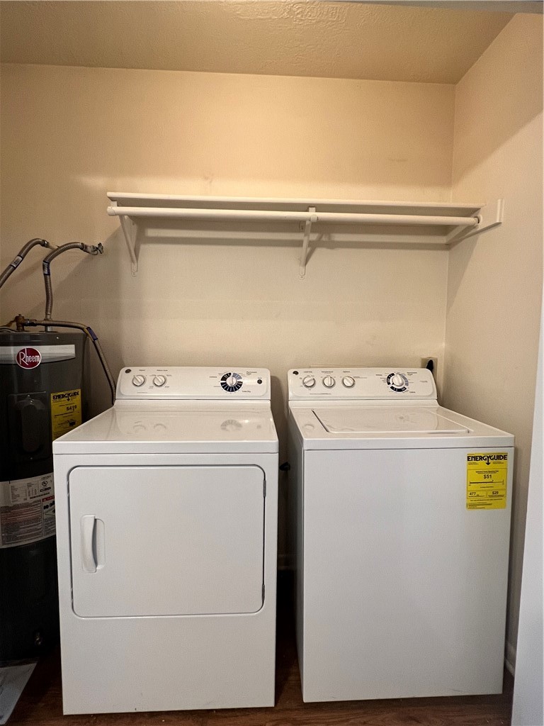 922 Spring Loop D