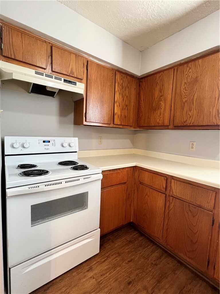 922 Spring Loop D
