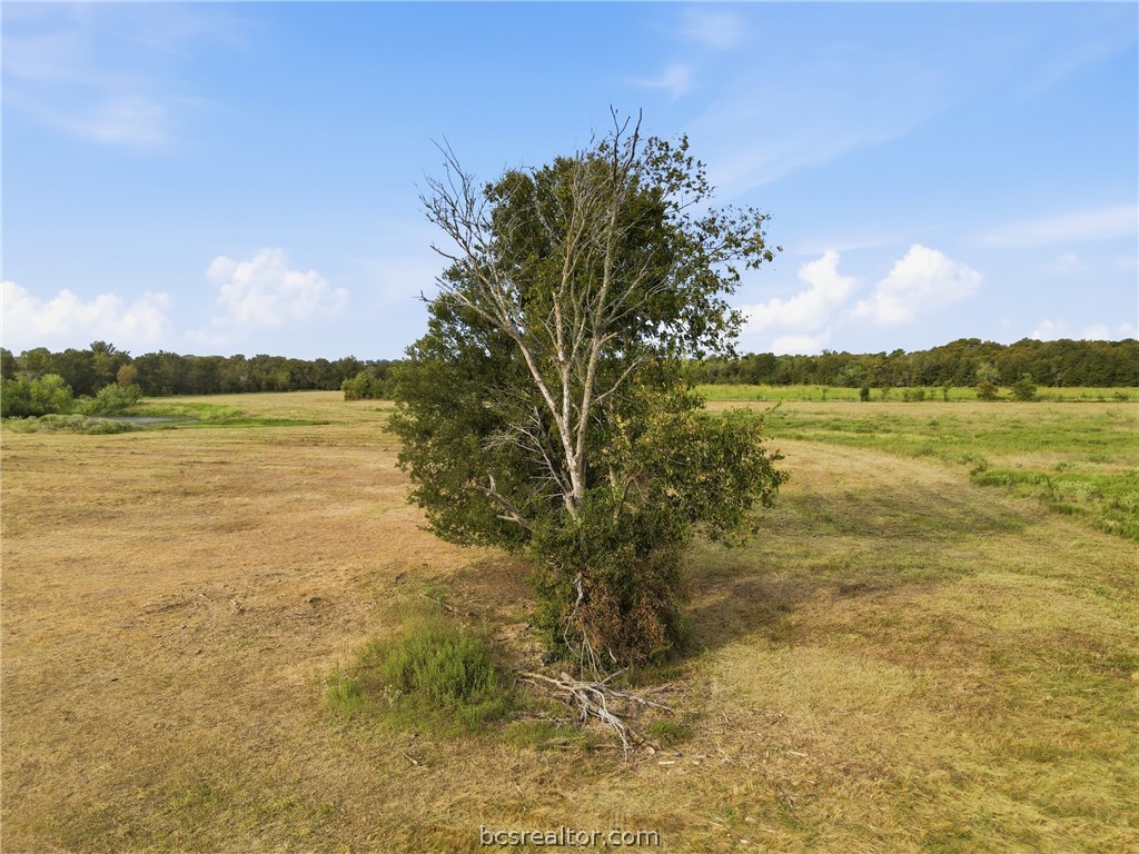 10825 West State Highway 21