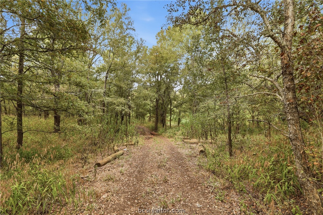10825 West State Highway 21