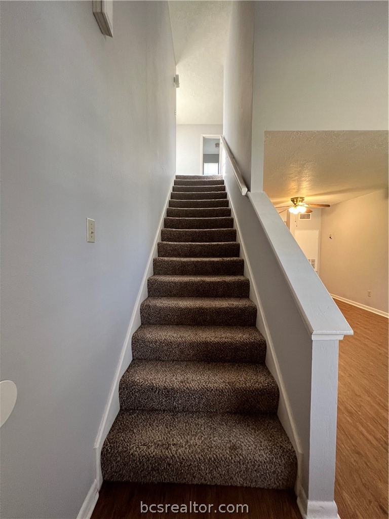 914 Spring Loop D