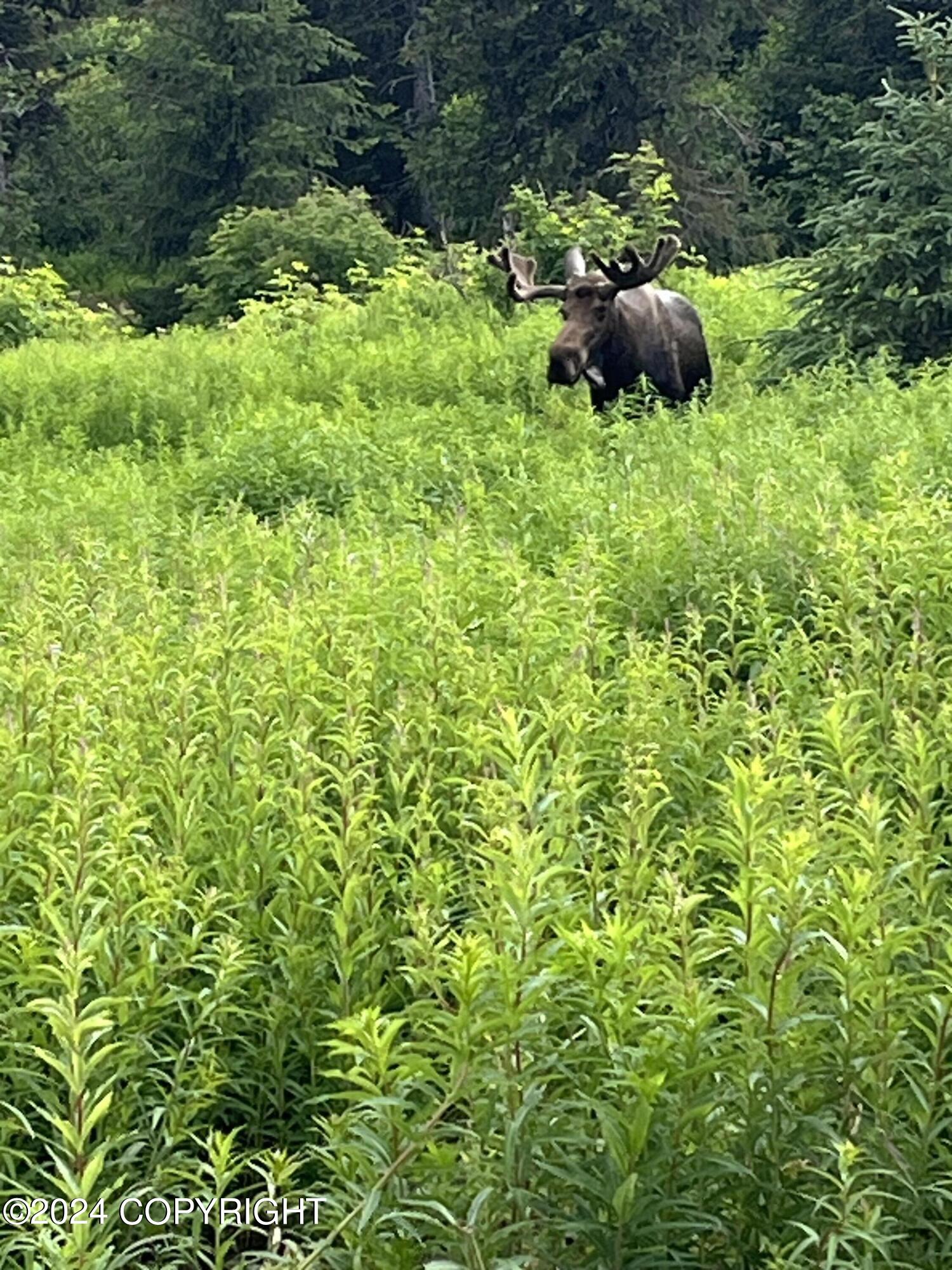 L6 NKA Crossman Ridge Avenue