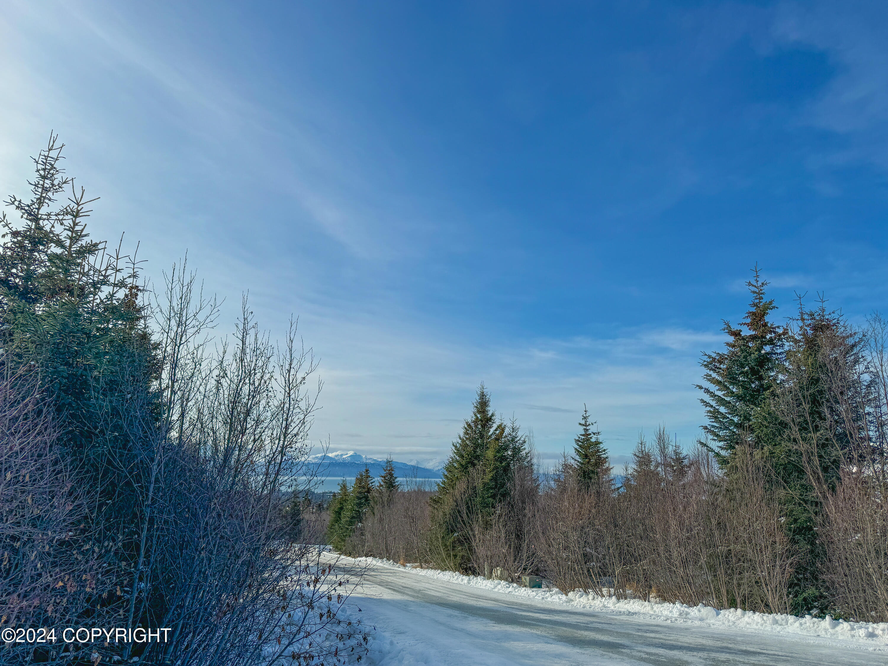 000 Bonnie Avenue