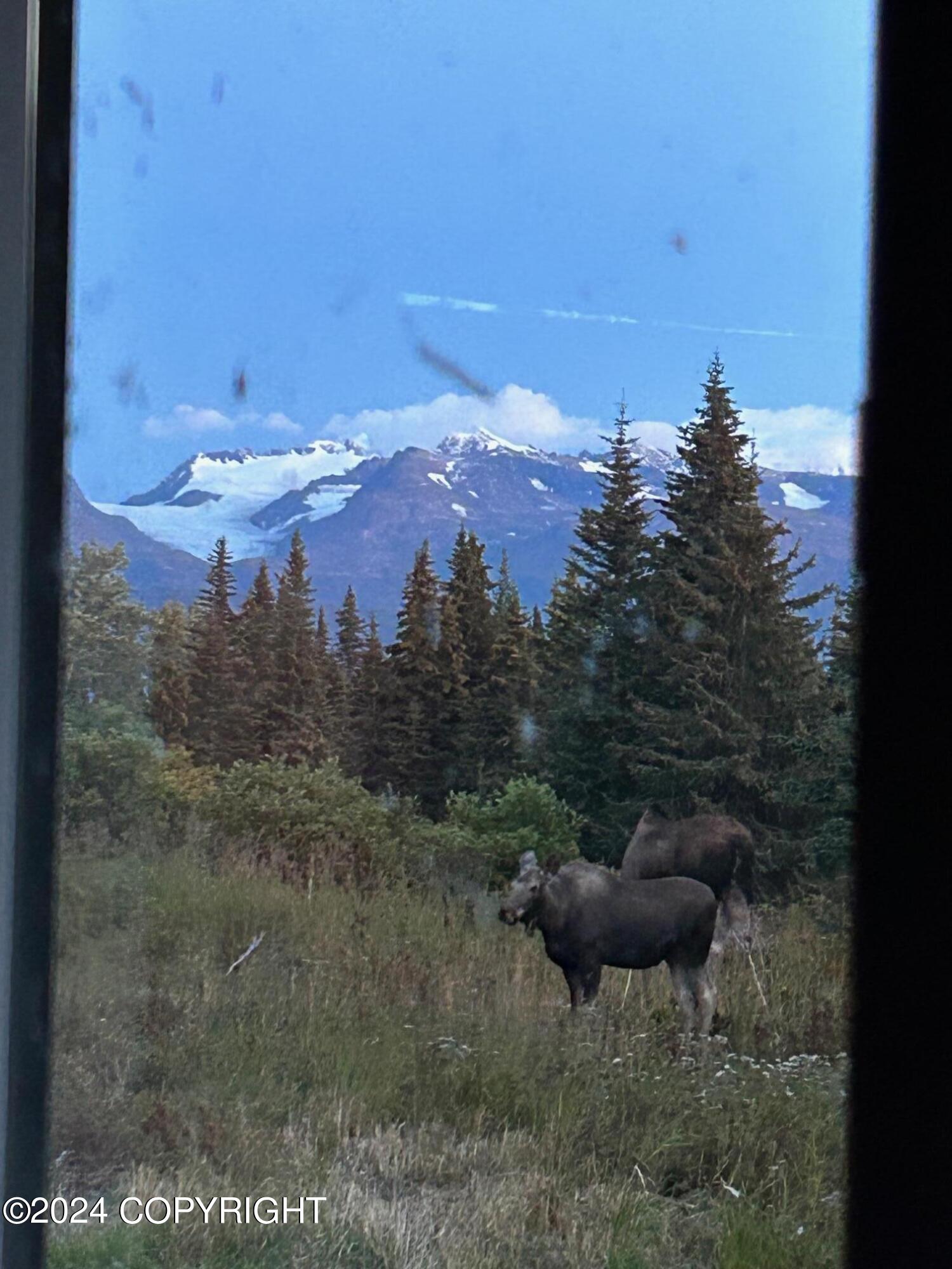 29026 Caribou View Lane