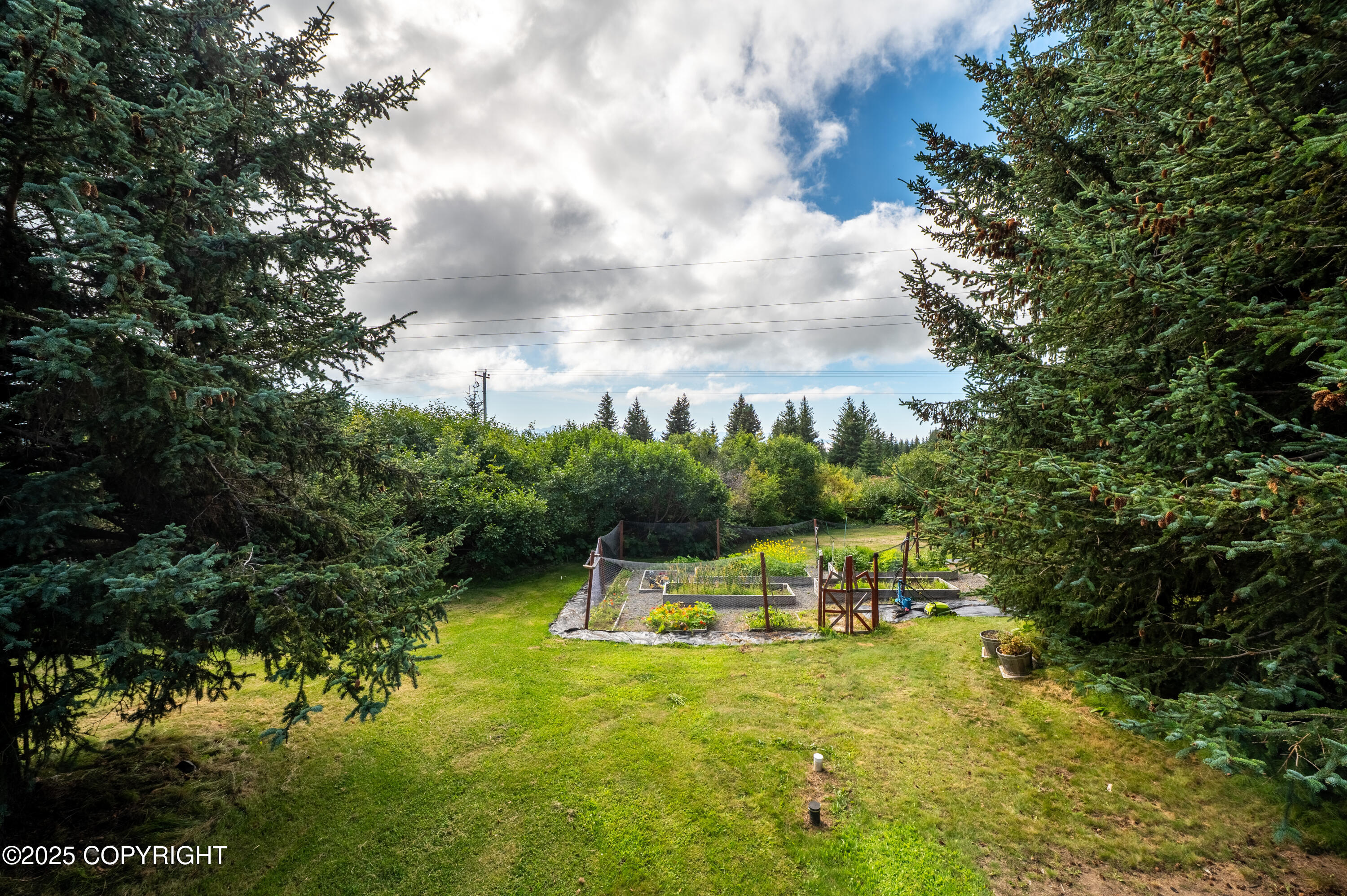 40905 Rucksack Drive