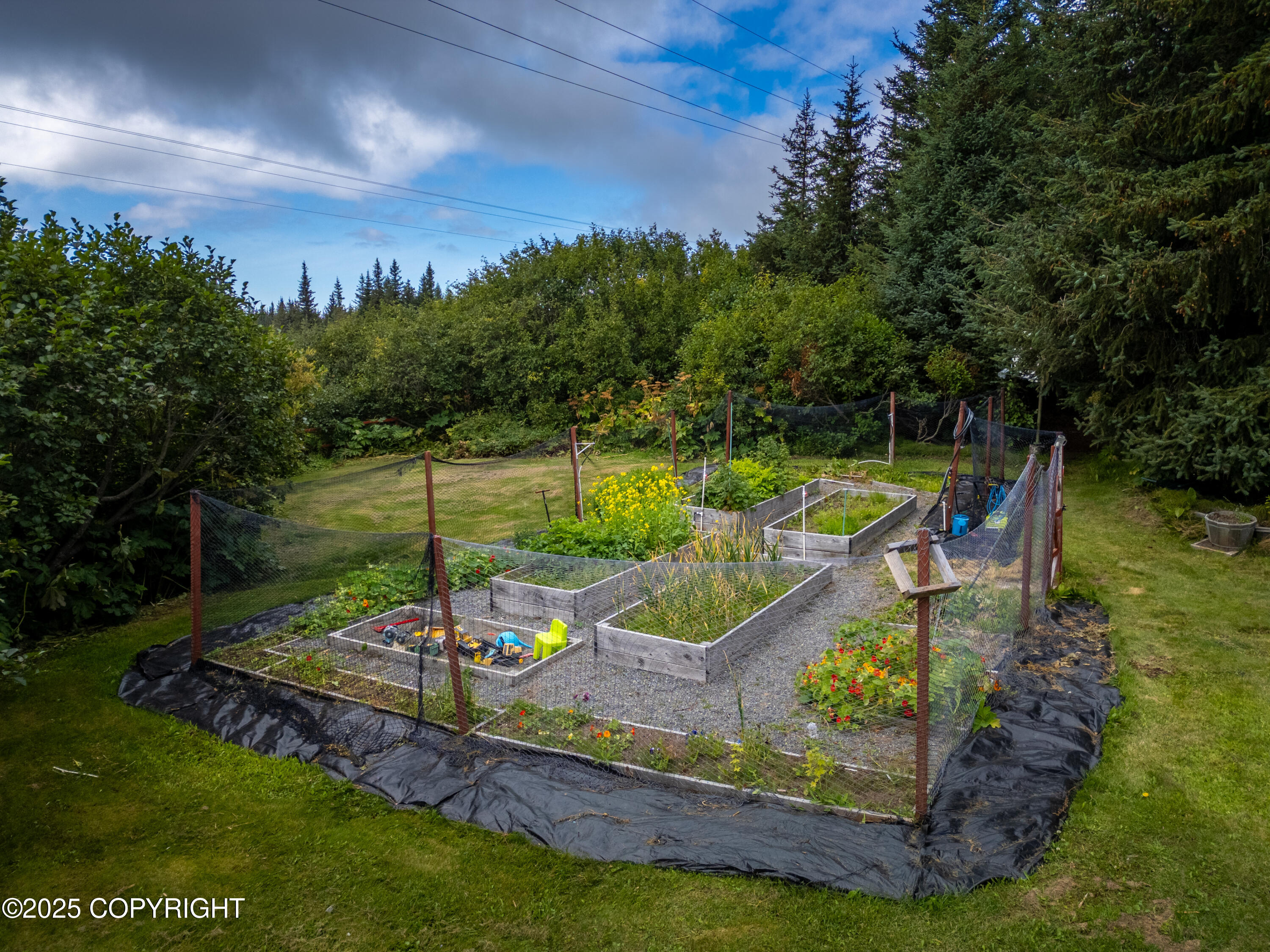 40905 Rucksack Drive