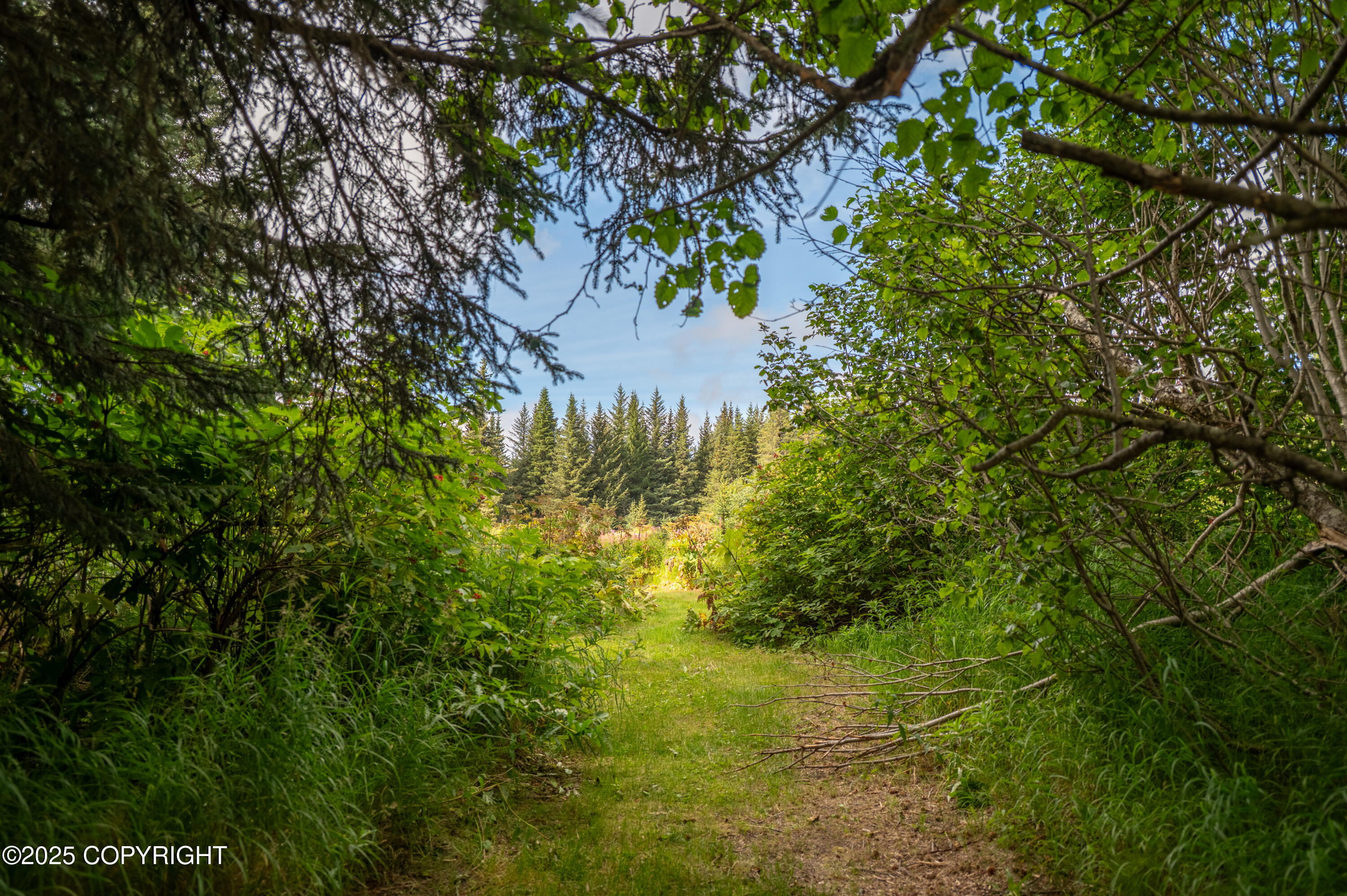 40905 Rucksack Drive