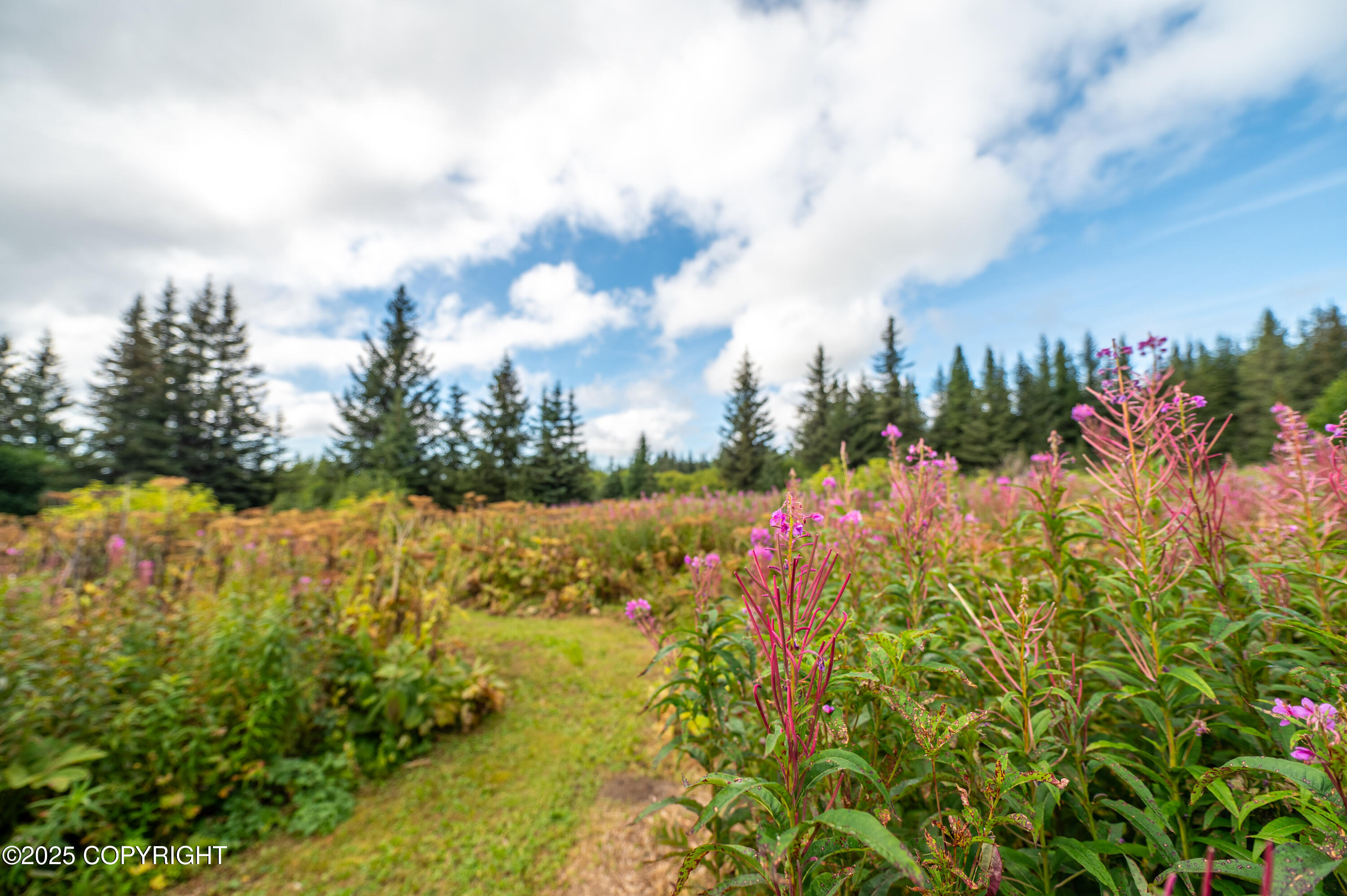 40905 Rucksack Drive