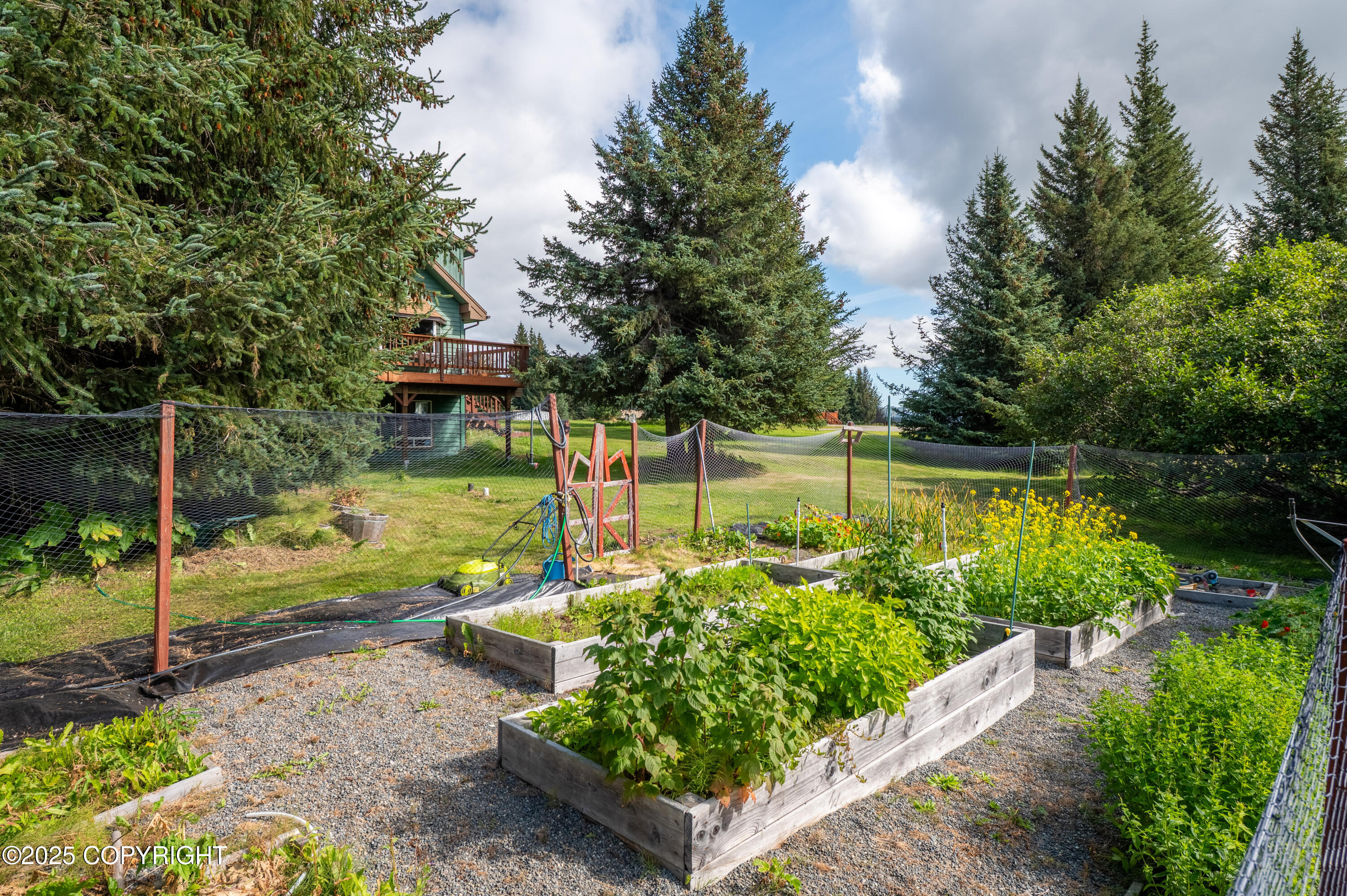 40905 Rucksack Drive