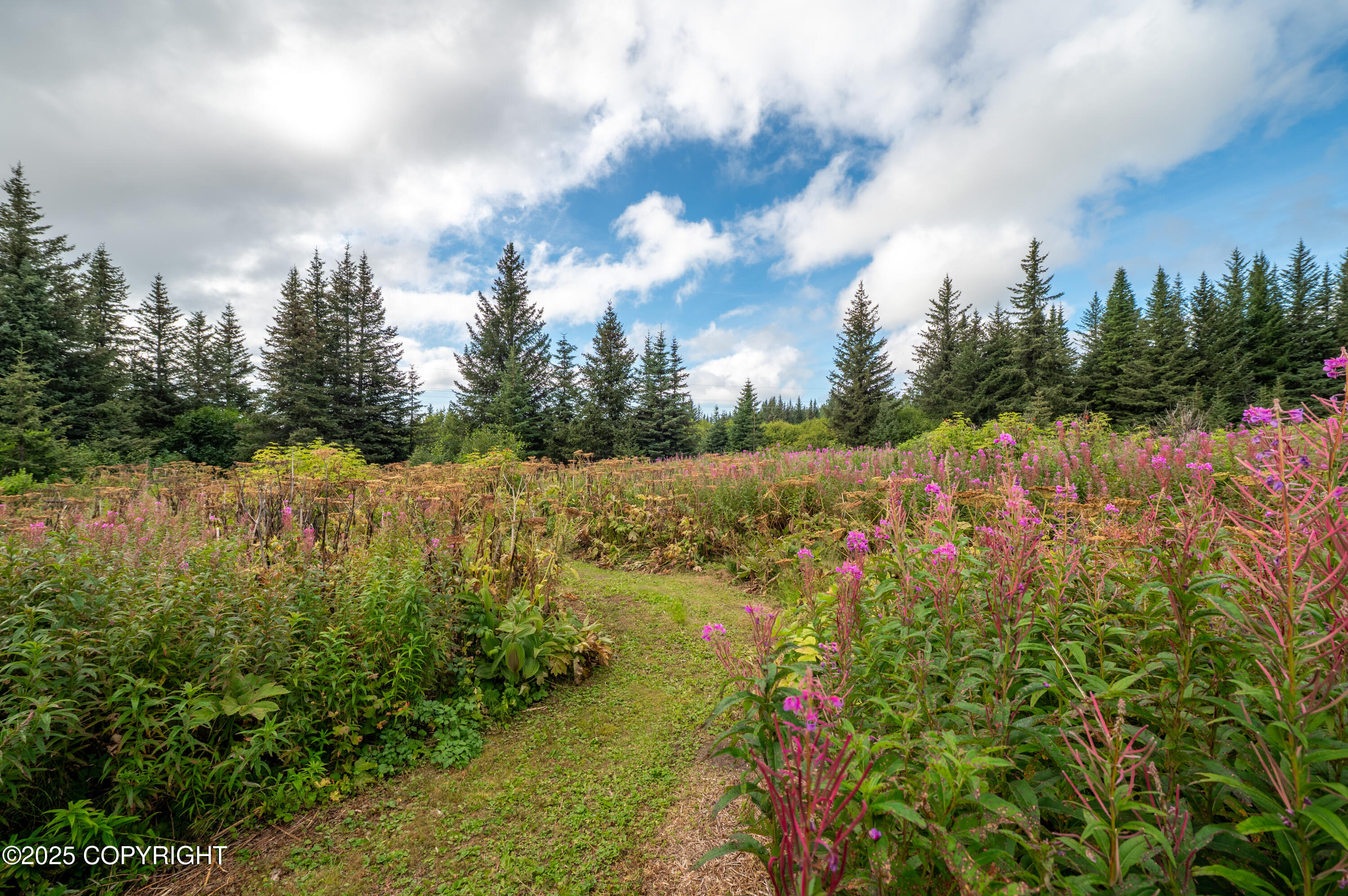 40905 Rucksack Drive