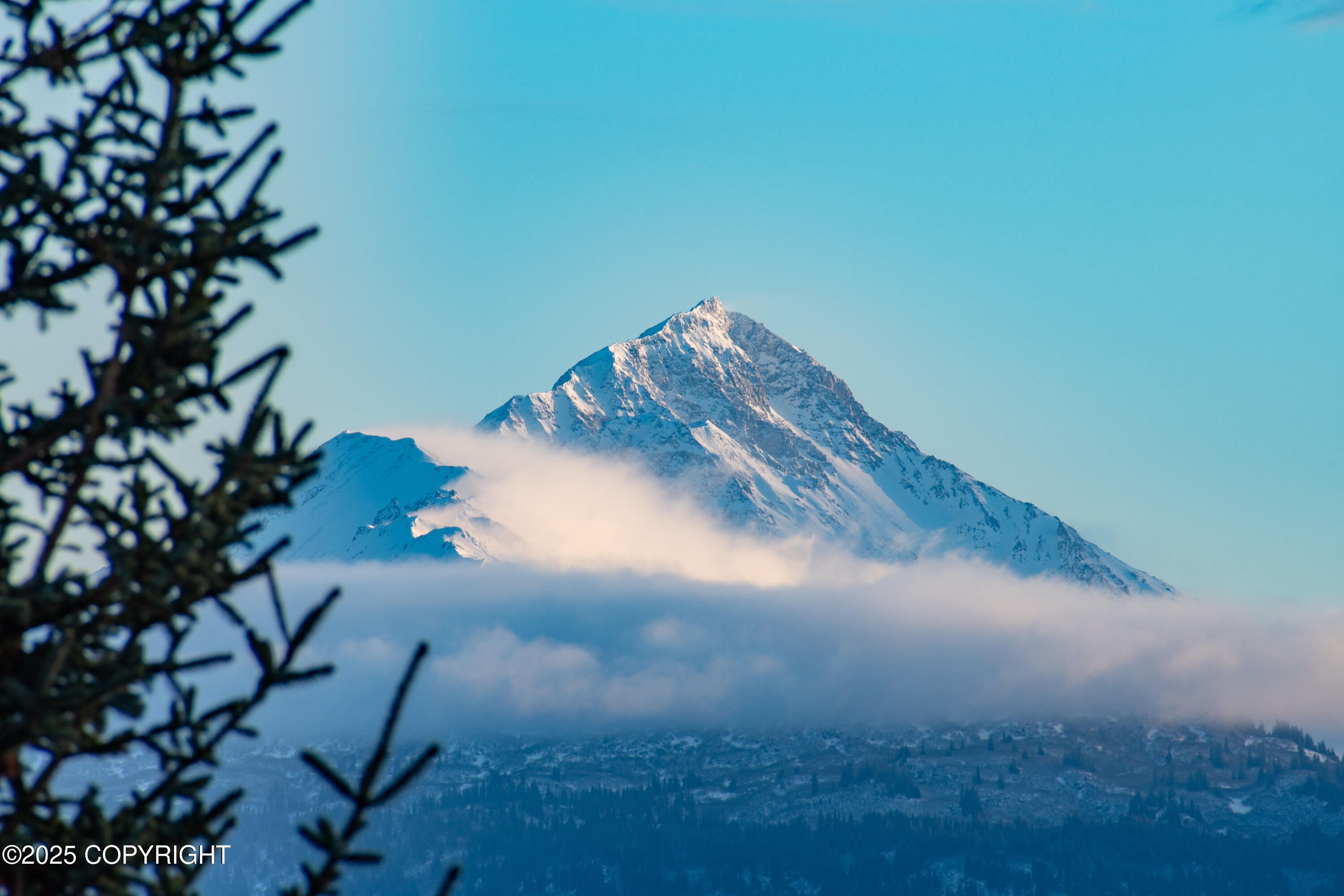 925 Soundview Avenue