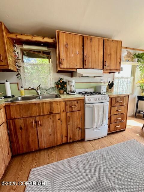 436 Grubstake Avenue